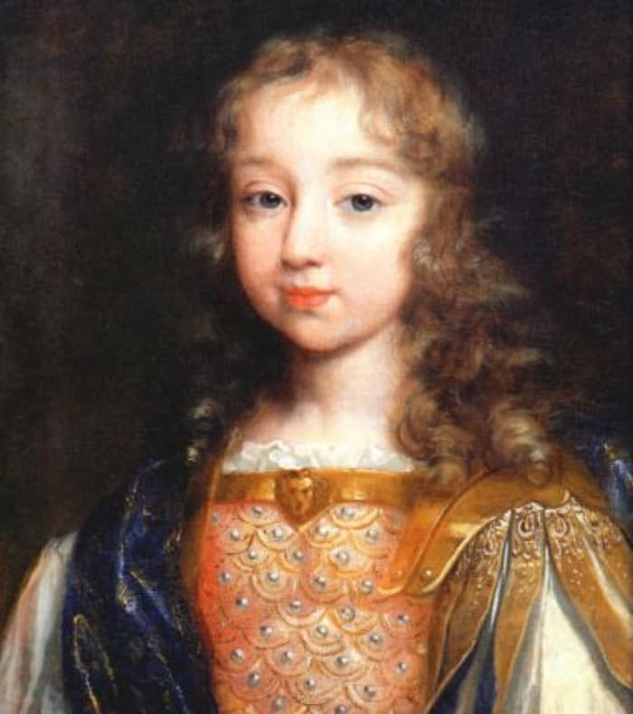 Louis XIV Pouch - I am Louis XIV, the Sun King